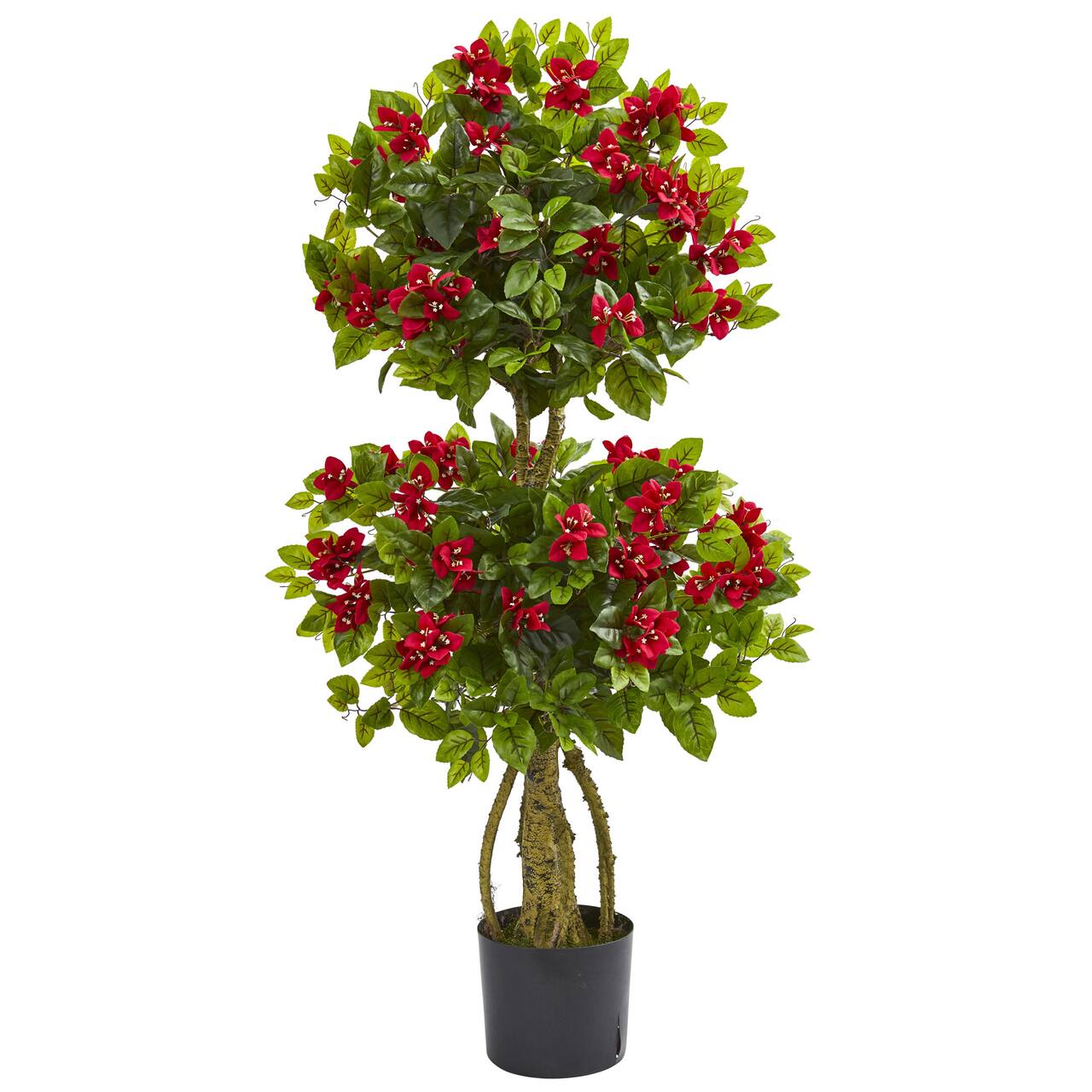 4ft. Potted Double Bougainvillea Topiary Tree